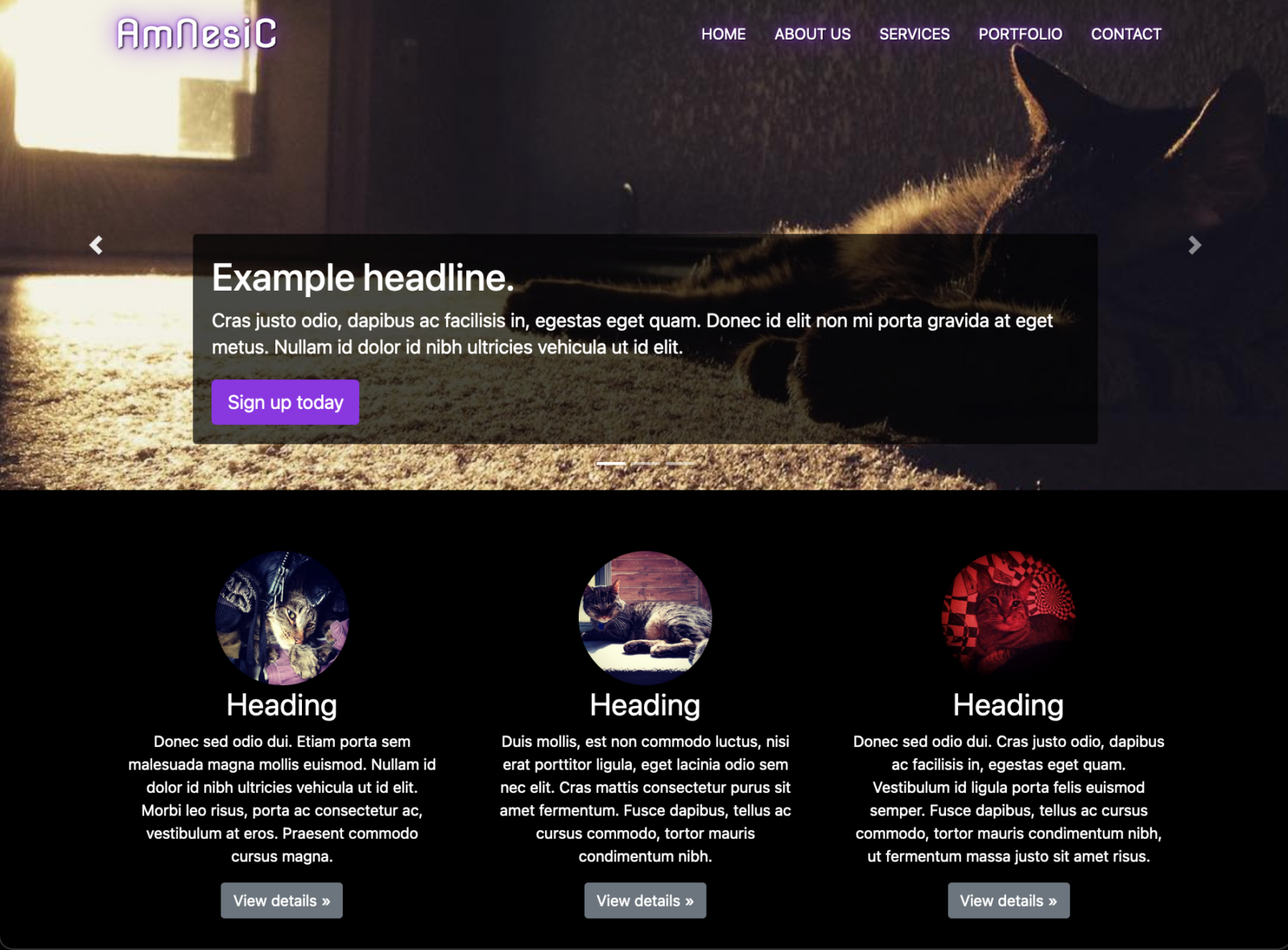 A screenshot showing the AmNesiC HTML template