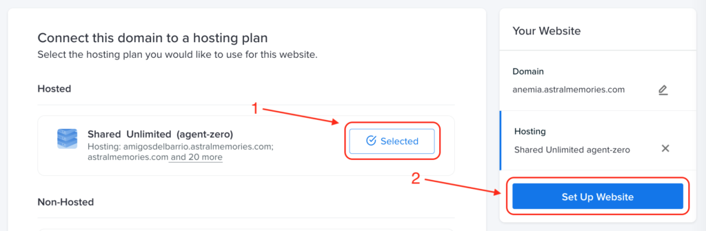 Connecting your new domain/subdomain to a hosting plan.